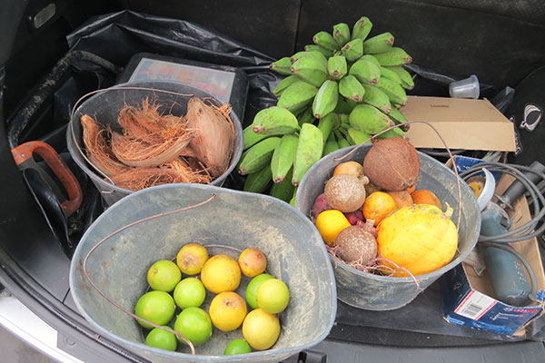 Food Donation Program