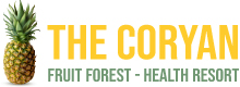 The Coryan - Fruit Forest Health Resort